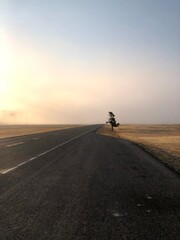 Foggy morning in Yellowstone National Park, WY