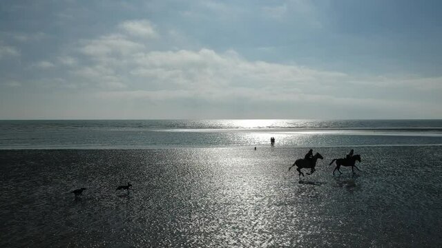 Silhouetted shot of two horse riders being chased by two dogs on a beach
