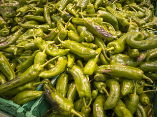 Ecological green peppers in a market