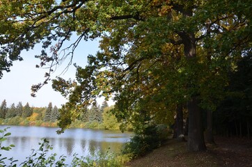 Fototapeta na wymiar Sonnige Herbstlandschaft am See