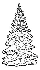 Vecton illustration. Hand drawing art. Christmas tree covered with snow. Big spruce. Coloring page.