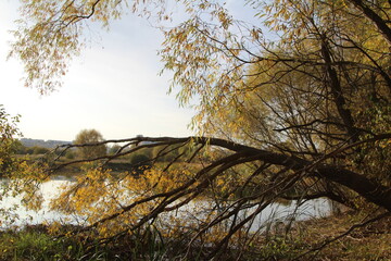 autumn day in the suburbs