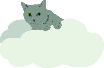 cat in the clouds