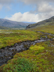 A small stream flows through valley in Khibiny mountains. North of Russia