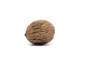 walnut white background.
Walnut in shell on a white background.