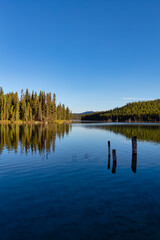 Beautiful Scenery by the lake in Canadian Nature. Moody Sunset Artistic Render. Taken near Whitehorse, Yukon, Canada.