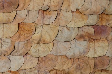 Brown dried leaf flat lay as background, texture.
