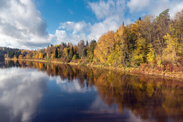 Fototapeta na wymiar Landscape view of Gauja river with reflected trees in Sugulda, Latvia during the golden autumn