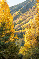 Obraz premium Autumn trail in the sunrise
