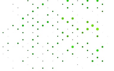 Light Green vector backdrop with dots.