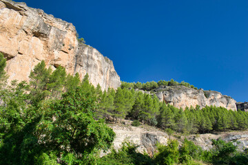 Pinos y pared de montaña en la sierra de Cuenca