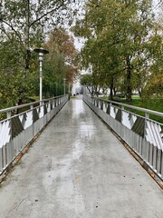 bridge in the park