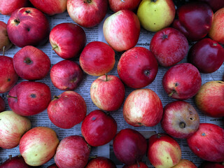 a bunch of yellow and red apples close up