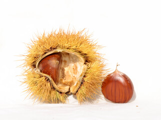 chestnuts isolated for background