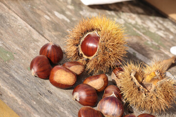 chestnuts isolated for background