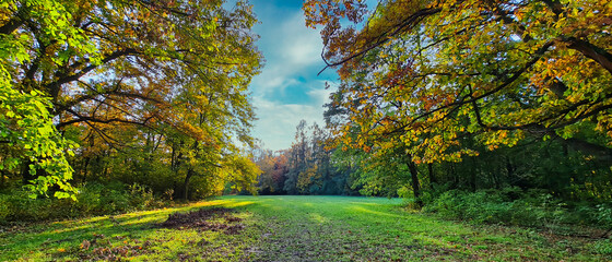 POLANA W LESIE W JESIENNYCH KOLORACH © michalsen