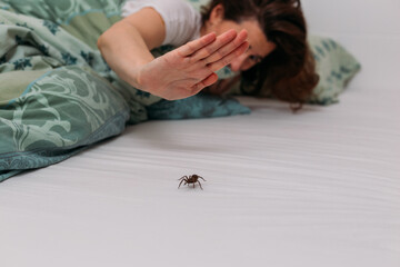 Woman in bedroom terrified by big spider crawling over her bed, trying to kill it with her hand