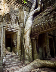 photo by Denis Shmigiriloff