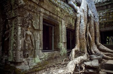 photo by Denis Shmigiriloff