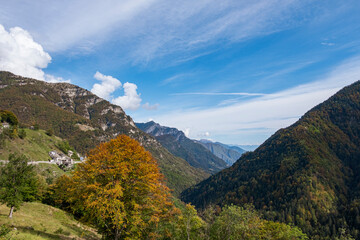 Autumn Landscape, Region Lago Maggiore, Ascona, Ticino, Switzerland