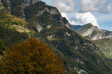 Autumn Landscape, Region Lago Maggiore, Ascona, Ticino, Switzerland