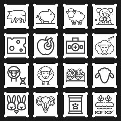 16 pack of pigs  lineal web icons set