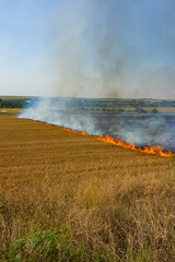Artificial set fire to the harvested wheat field. Farmers deliberately set fire to it. Air pollution.