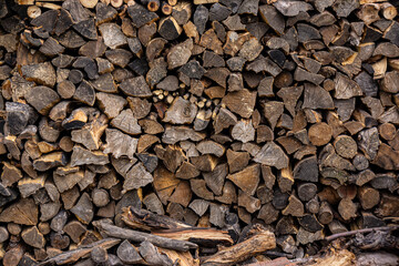 Prepared dry firewood for the winter is in a pile.