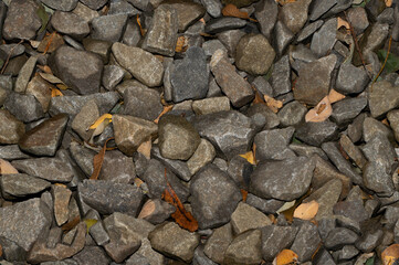 Seamless background of wet stones lying in a jumble with yellow leaves