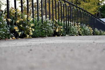 Blumengeschmückte Fußgängerbrücke im Kurpark von Baden-Baden