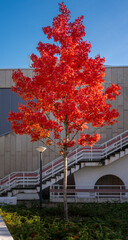 Herbst in Berlin