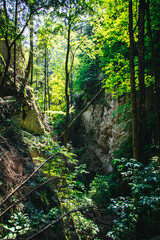Steinwand-klamm, Austria