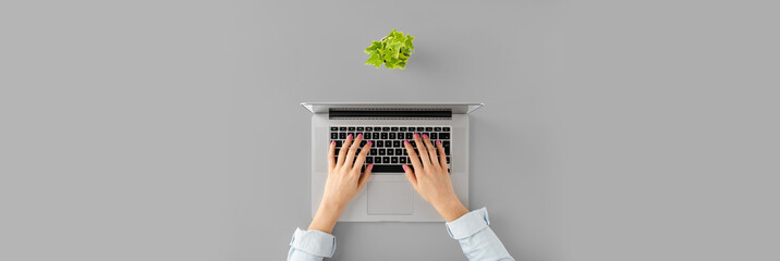 Woman’s hands using laptop on table with flower. Office desktop. Top view. Banner