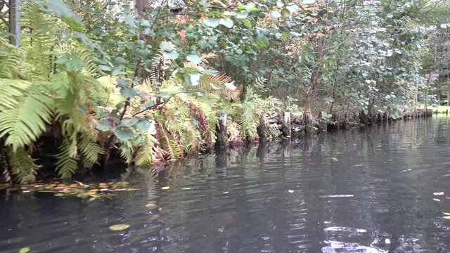 Kahnfahrt im Spreewald