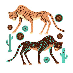 Adorable cheetah hunt with spinifex grass and cactus illustration Vector