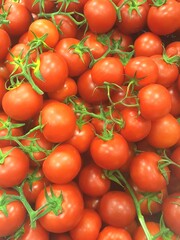 closeup of many ripe new season locally grown tasty organic tomatoes 