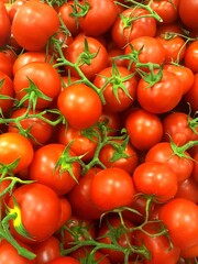 closeup of many ripe new season locally grown tasty organic tomatoes 