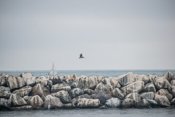 Birds skim across water at breakwater