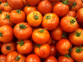 closeup of many ripe new season locally grown tasty organic tomatoes 