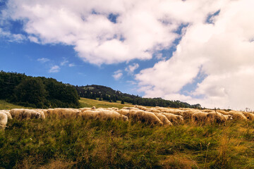 Kizna + Ploska, Slovakia