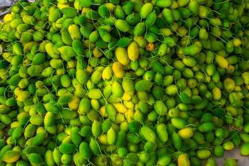 Fresh and green spiny gourd vegetables ready for sale in the market.