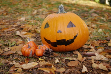 落ち葉の上のハロウィンかぼちゃ