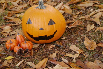 落ち葉の上のハロウィンかぼちゃ