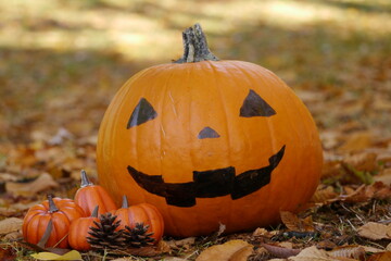 落ち葉の上のハロウィンかぼちゃ
