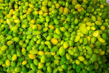 Fresh and green spiny gourd vegetables ready for sale in the market.