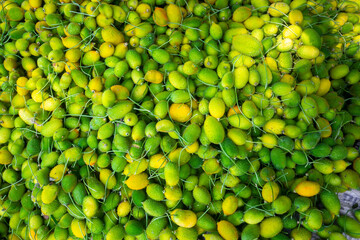Fresh and green spiny gourd vegetables ready for sale in the market.