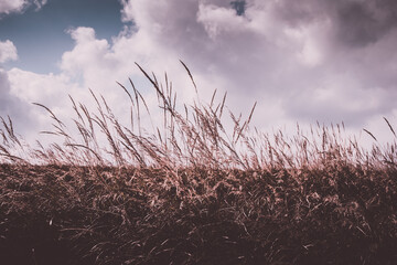 Kizna + Ploska, Slovakia