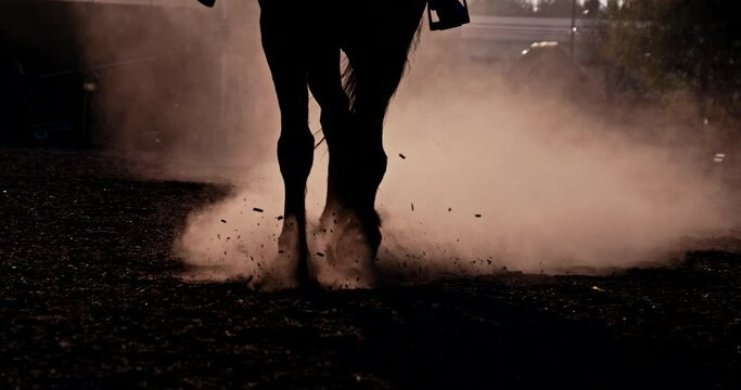 Close up horse hooves step ground at sunset. Dust and smoke swirls. Slow motion. Slow motion. Equestian sport and active lifestyle. Animals concept.
