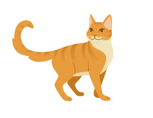 Cute cartoon animal design red striped domestic cat adorable animal flat vector illustration