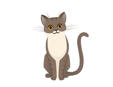 Cute cartoon animal design white and grey striped domestic cat adorable animal flat vector illustration